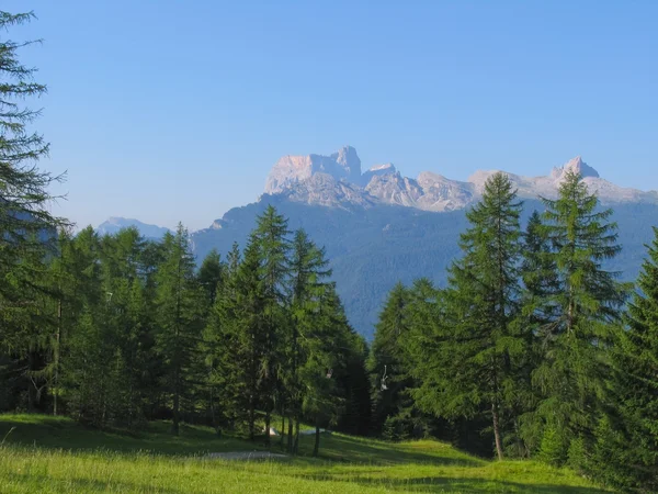 Alperne sommer udsigt - Stock-foto