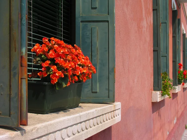 Venezia içinde pencere eşiği Stok Fotoğraf