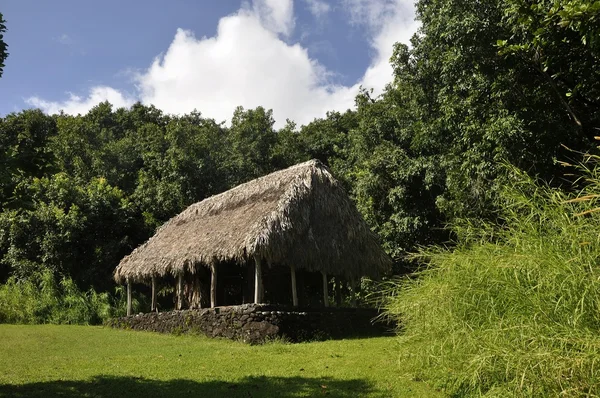 stock image Grass roof shelter