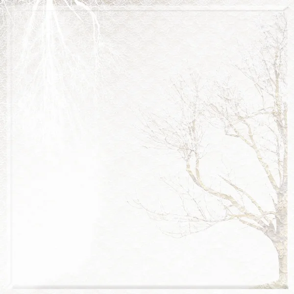 Beyaz dantel ve ağaç arka plan — Stok fotoğraf