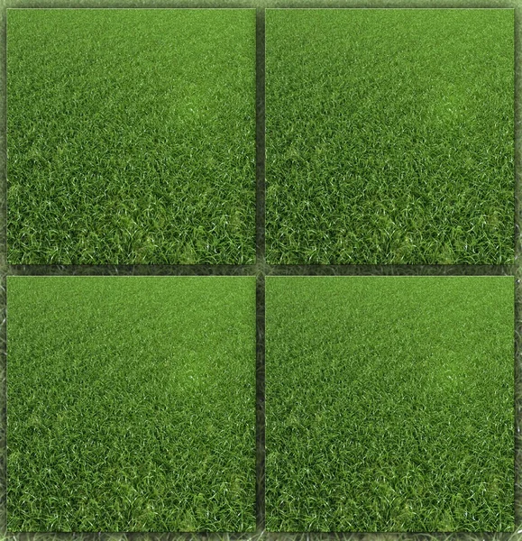 Фон травы Стоковое Изображение