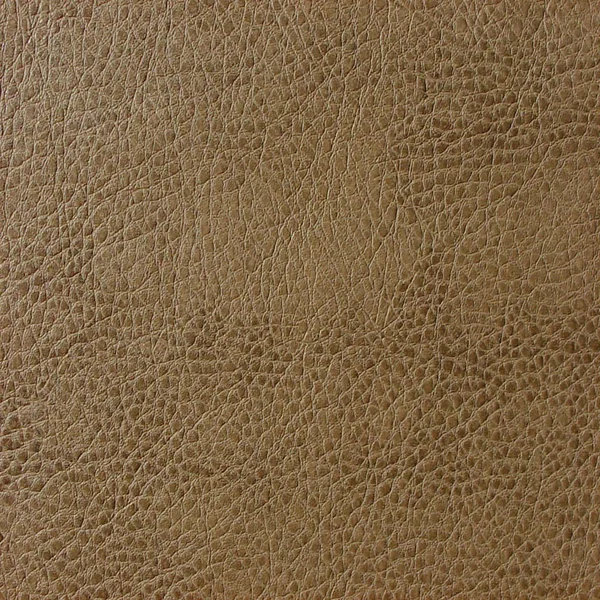 Sandelwood Brown Leather — Stock Photo, Image