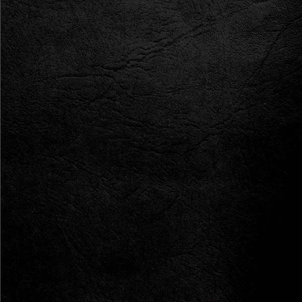 검은 잎사귀 — 스톡 사진