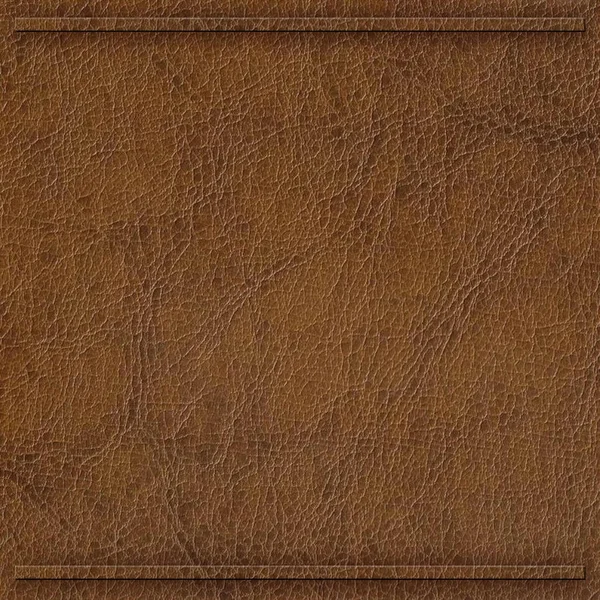 Brown Synthetic Leather with border — Stock Photo, Image
