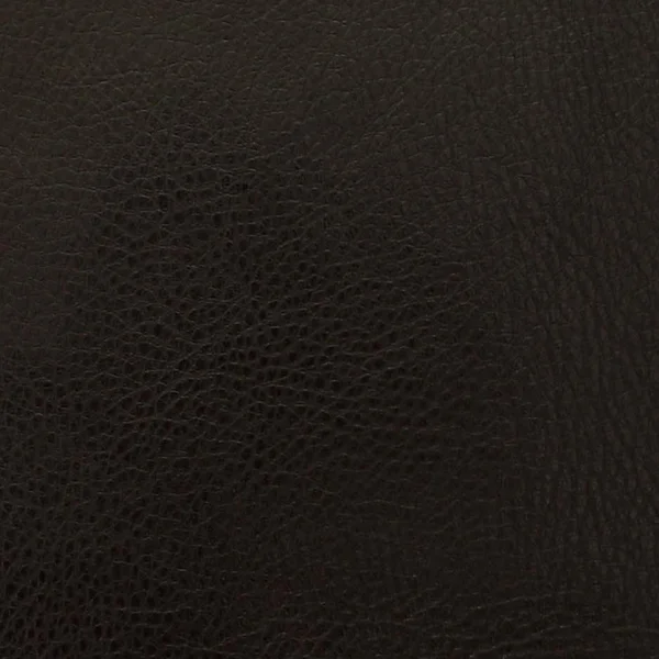 Pecan Dark Brown Leather — Stock Photo, Image