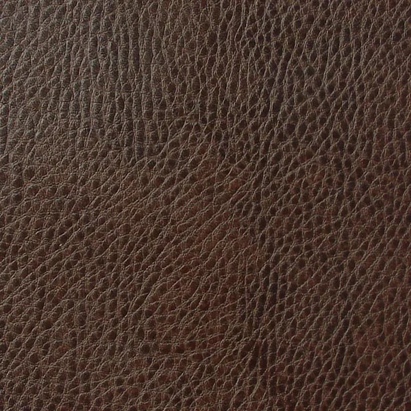 Pecan Brown Leather — Stock Photo, Image
