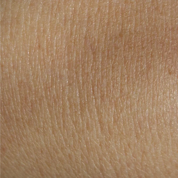 stock image Human skin wallpaper