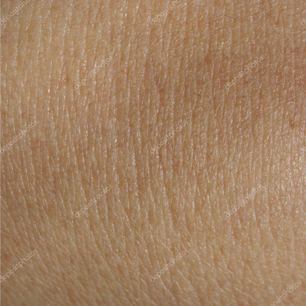 Human skin wallpaper ⬇ Stock Photo, Image by © aagje #9548484