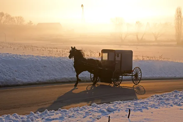 Amish Carriage ในหมอก รูปภาพสต็อกที่ปลอดค่าลิขสิทธิ์