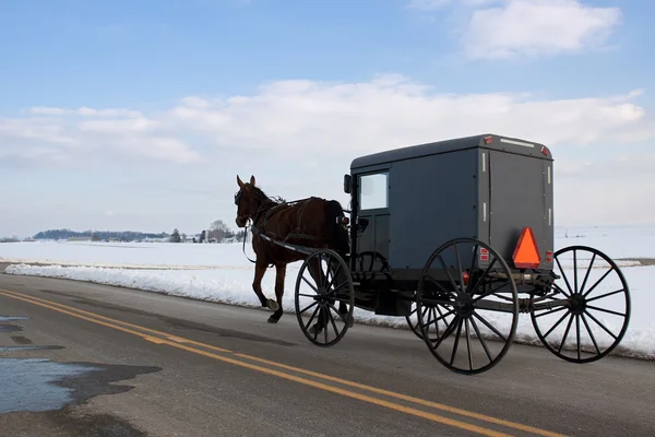 Amish kočár — Stock fotografie