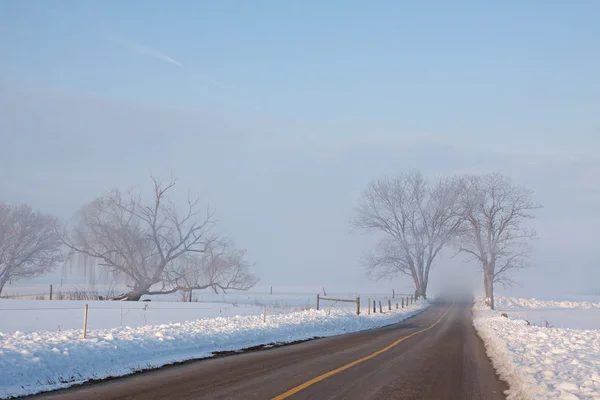 Туманная сельская дорога — стоковое фото