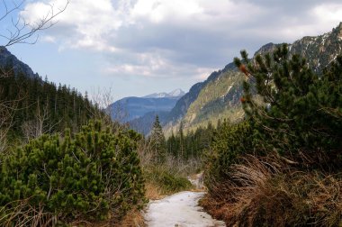 Tatry Dolina Pięciu Stawów