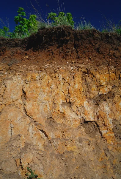 Dettagli degli strati di terreno sotto la superficie del suolo — Foto Stock