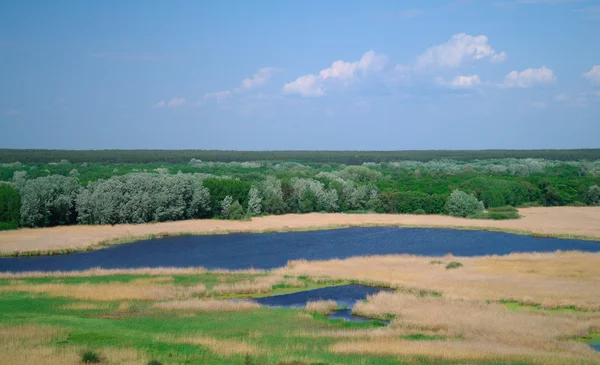 Vista sobre o rio, nascente .Ucrânia . — Fotografia de Stock