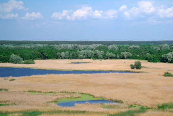Nehir üzerinde görüntülemek için .ukraine bahar. — Stok fotoğraf