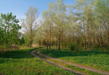 Tahta yol