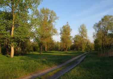 Tahta yol