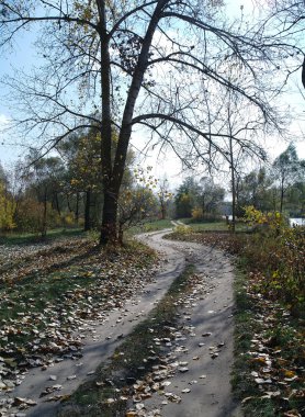 Tahta yol