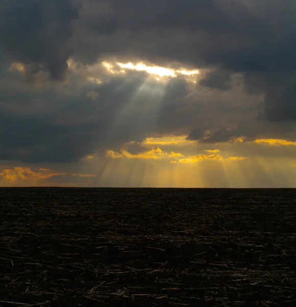 stock image The sky