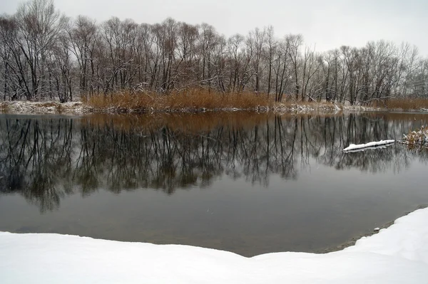 Winter des Flusses — Stockfoto