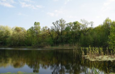 Görünüm River'da bahar