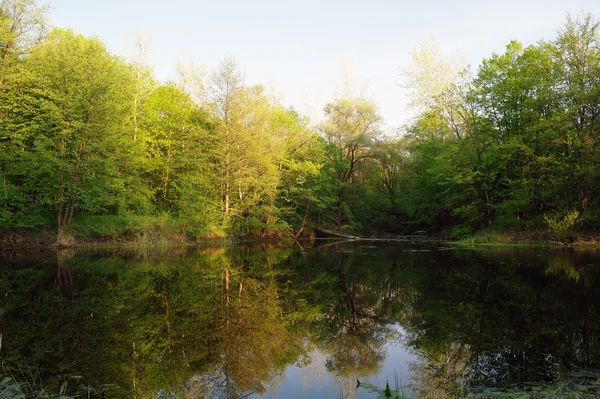 stock image View on the river , spring