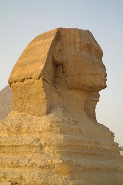 Величественный сфинкс в Каире, Египет . — стоковое фото