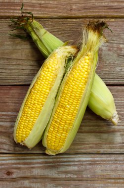 Organic yellow corn clipart