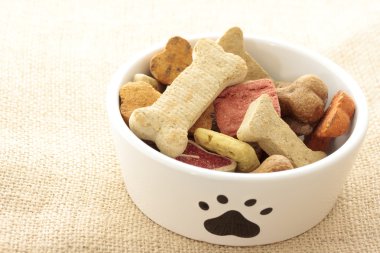 Dog food in bowl clipart