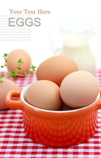 Verse eieren uit de bruin — Stockfoto
