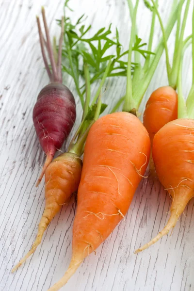 Organic garden carrots