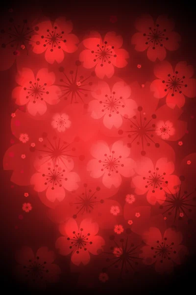 Körsbär blommar bakgrund — Stockfoto