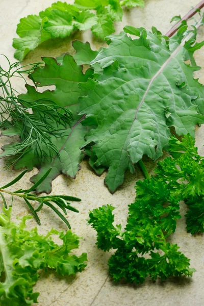 Különböző leveles zöldségek — Stock Fotó