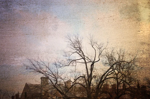 Alte Gebäude mit Bäumen — Stockfoto