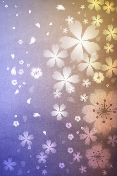 Цветущая сакура — стоковое фото