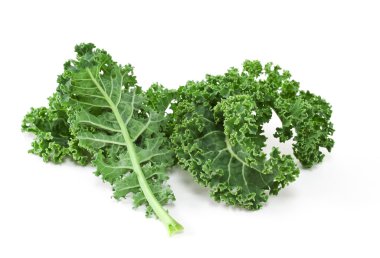 Fresh Kale clipart