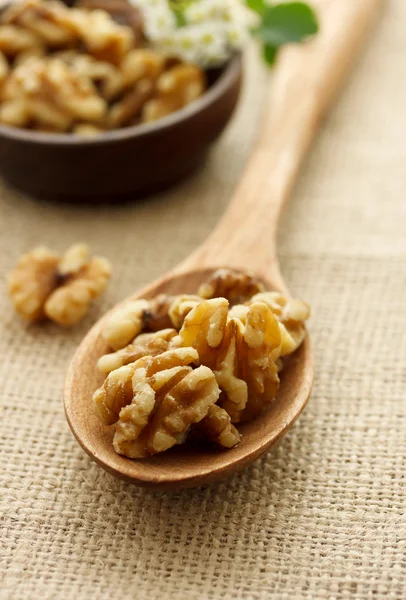 Walnuts — Stock Photo, Image