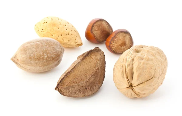 Gemengde noten in de shell — Stockfoto