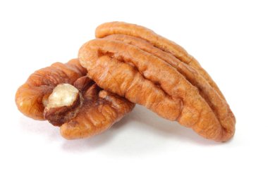 Pecans isolated clipart