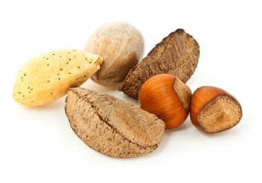 Mixed Nuts in the Shell clipart