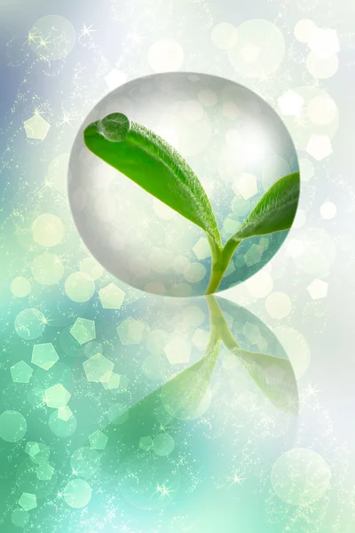 Mladá rostlina v bublině — Stock fotografie