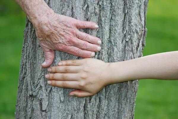 Alte und junge Hände am Baumstamm — Stockfoto