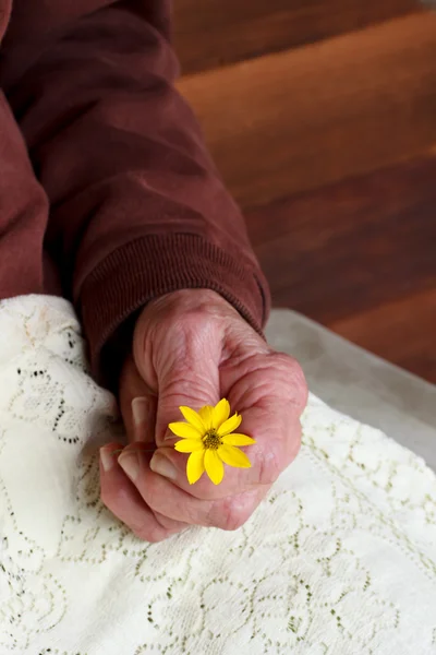 Pani seninor z kwiatami — Zdjęcie stockowe