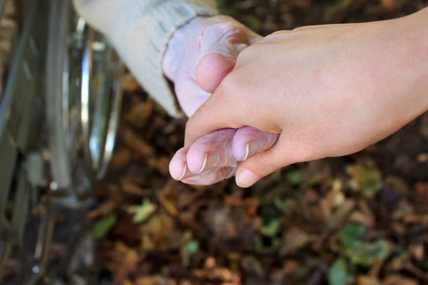 Ajudando Mão no Outono — Fotografia de Stock