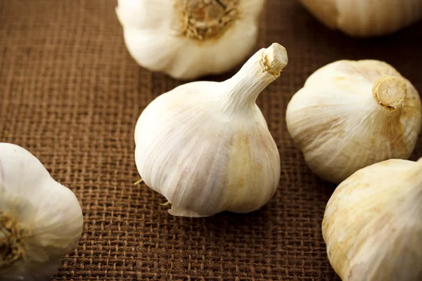 Garlic — Stock Photo, Image