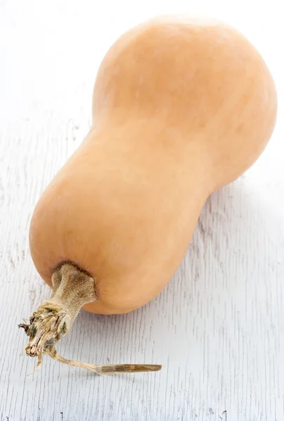 Butter nut squash — Stock Photo, Image