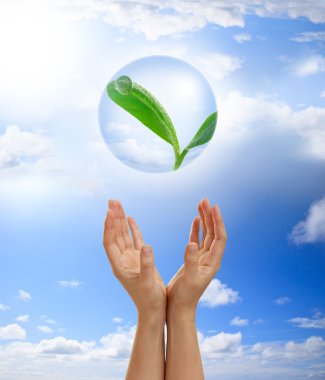 Hands holding young plant in a bubble clipart