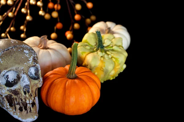 Halloween dýně s lebkou — Stock fotografie