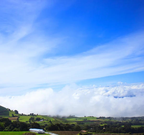Зеленый луг над облаками — стоковое фото