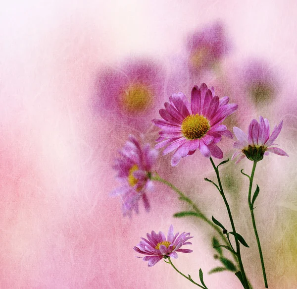 Kwiat sztuka tło — Zdjęcie stockowe